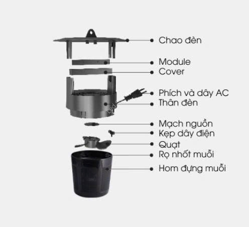 den_bat_muoi_tai_phu_yen_1