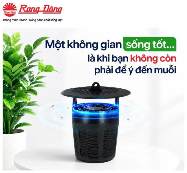 den_bat_muoi_tai_phu_yen_2
