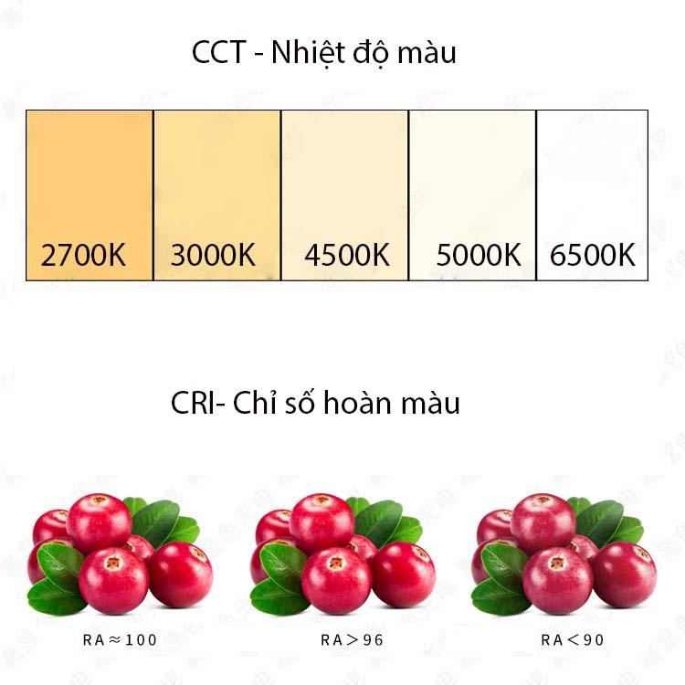 cri-chi-so-hoan-mau