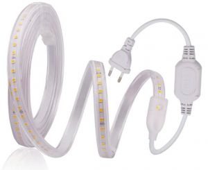 Led Dây 220V 120B IP65