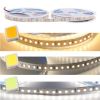 cuon-led-snc-12v-5m - ảnh nhỏ 4